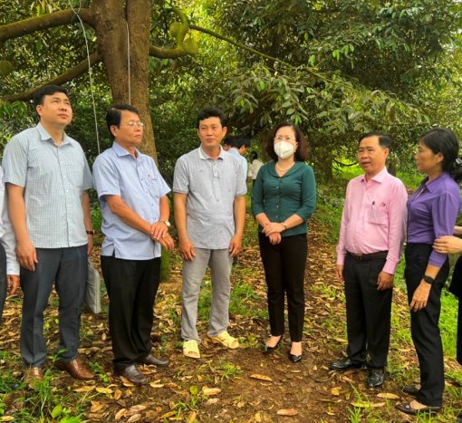 Các cấp Hội Nông dân thành phố phấn đấu thực hiện đạt và vượt các chỉ tiêu năm 2023