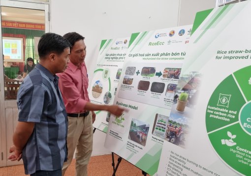 Thúc đẩy liên kết, hợp tác phát triển chuỗi giá trị sản phẩm từ rơm