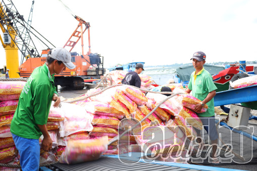 Việt Nam tiếp tục là nhà cung cấp gạo lớn nhất của Philippines