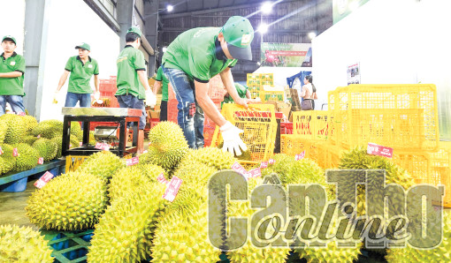 Kim ngạch xuất khẩu hàng hóa ước đạt 164,45 tỉ USD