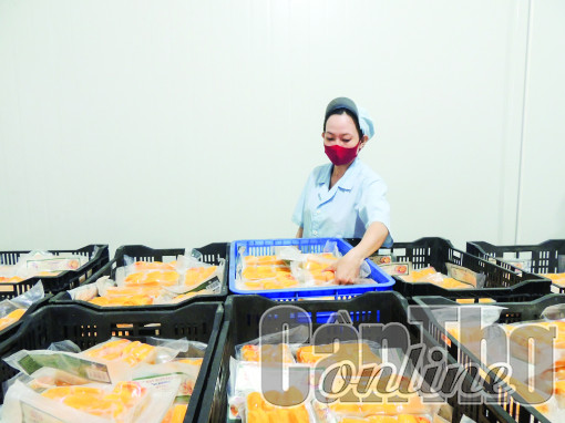 Phát triển kinh tế tư nhân trở thành động lực quan trọng của nền kinh tế