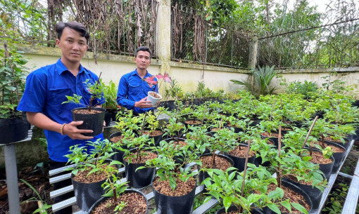 Thêm thu nhập từ nghề trồng hoa kiểng