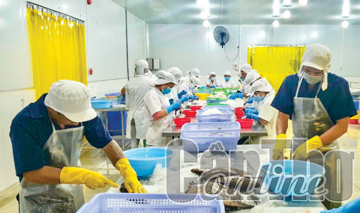 Hỗ trợ hợp tác xã tiếp cận các nguồn lực phát triển