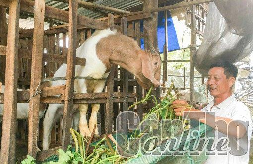 Trên 44,2 tỉ đồng hỗ trợ phát triển kinh tế gia đình