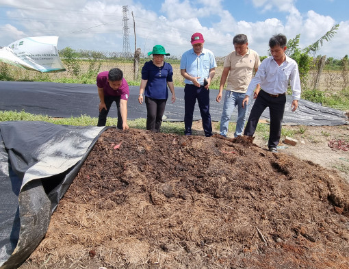 Phát triển chuỗi giá trị sản phẩm từ rơm