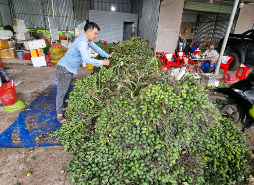 Giá trái cau non tăng nhẹ