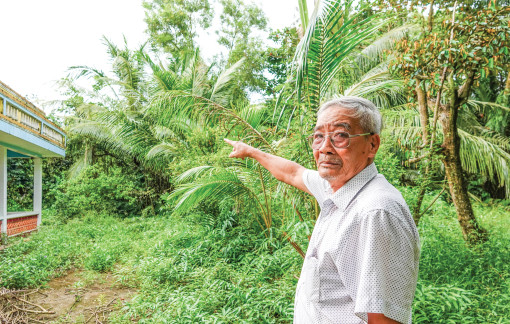 3 đời cưu mang chim trời