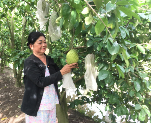  “Tích tiểu thành đa”