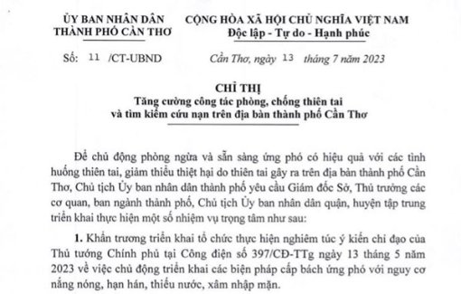 Chủ động phòng ngừa và sẵn sàng ứng phó có hiệu quả với các tình huống thiên tai