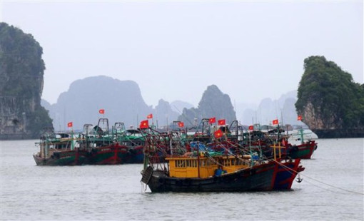 Bão số 1 còn cách Móng Cái khoảng 60km, gió giật cấp 8