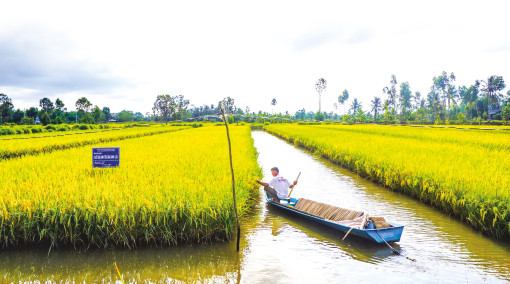 Thành bại tại... hợp tác và liên kết!