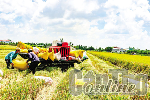 Gỡ khó thúc đẩy phát triển nông nghiệp