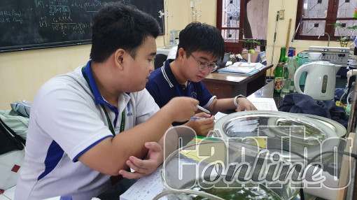 Công bố ngưỡng đảm bảo chất lượng đầu vào nhóm ngành sức khỏe, đào tạo giáo viên năm 2023