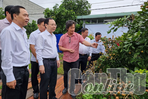 Bí Thư Thành ủy Cần Thơ thăm mô hình kinh tế hợp tác nông nghiệp hiệu quả