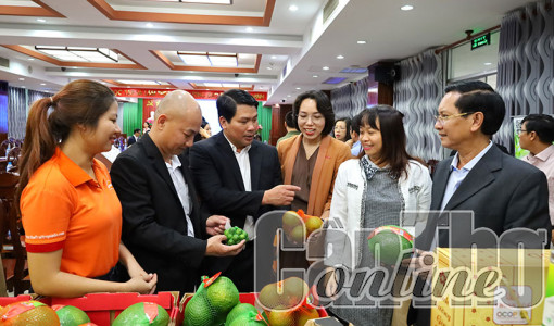 Tăng kết nối cung cầu, tiêu thụ sản phẩm