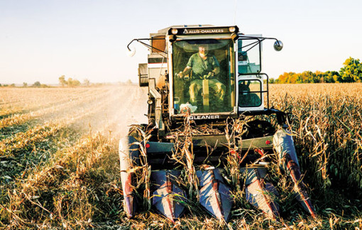 Mỹ ngăn Trung Quốc thâu tóm đất nông nghiệp