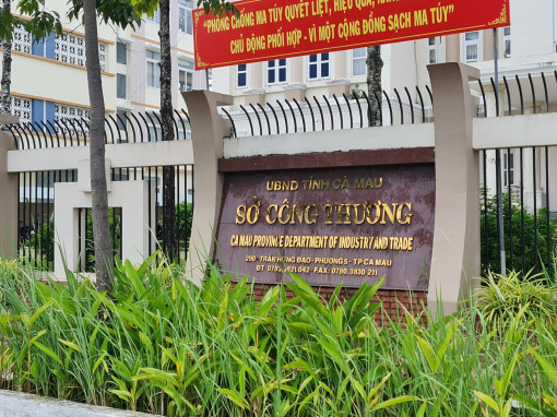 Cà Mau: Cảnh cáo nguyên Giám đốc Sở Công Thương do kê khai tài sản không trung thực