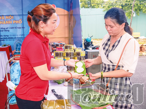 Thành lập mới 1.032 hợp tác xã