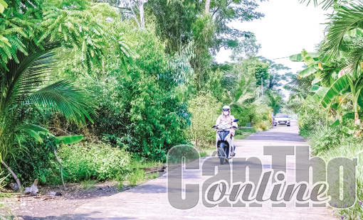 Vĩnh Thạnh đẩy nhanh tiến độ thi công các công trình, dự án