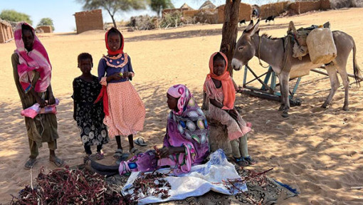 Liên Hiệp Quốc cắt giảm viện trợ lương thực vì khủng hoảng ngân sách