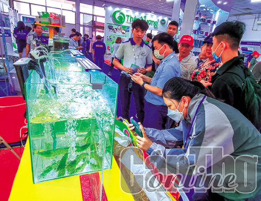 Tháo gỡ khó khăn cho sản xuất và xuất khẩu tôm