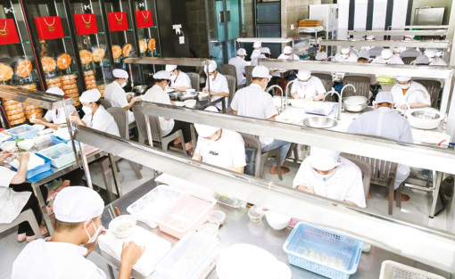 Bùng nổ nghề nuôi chim yến ở ĐBSCL