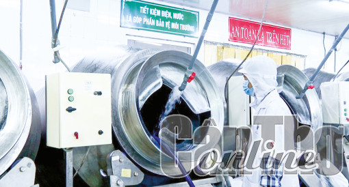 Đẩy mạnh các hoạt động sản xuất và tiêu dùng bền vững