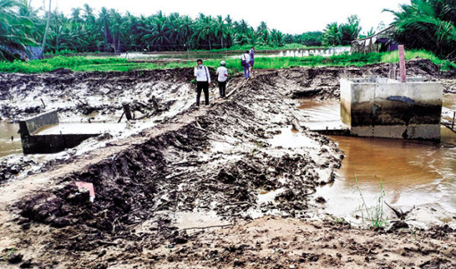Sóc Trăng lo bảo vệ mùa màng trước mùa mưa lũ