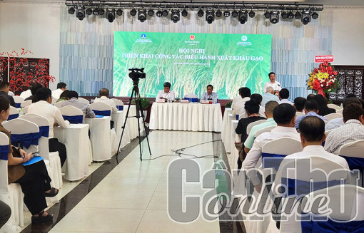 Tận dụng thời cơ xuất khẩu gạo nhưng phải đảm bảo an ninh lương thực quốc gia