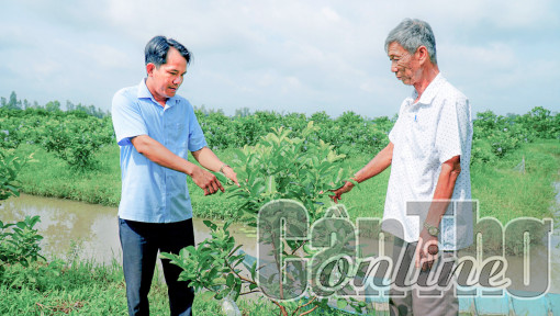 Tận tụy chăm lo cho dân