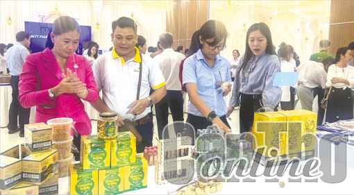 Hỗ trợ hợp tác xã tiếp cận các nguồn lực đầu tư phát triển kinh doanh