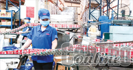 Các khu công nghiệp Cần Thơ thu hút 2 dự án đầu tư mới