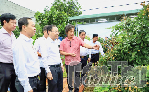 Các phong trào do Hội Nông dân phát động mang lại hiệu quả thiết thực, góp phần phát triển kinh tế - xã hội thành phố