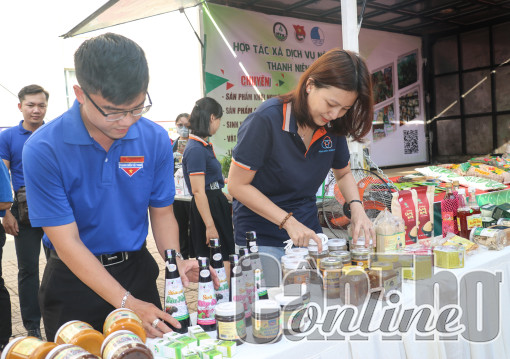 Bảo trợ, hỗ trợ nhiều ý tưởng, dự án khởi nghiệp