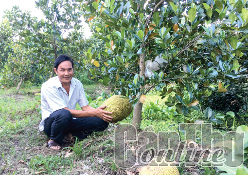 Tích cực lao động, ổn định cuộc sống