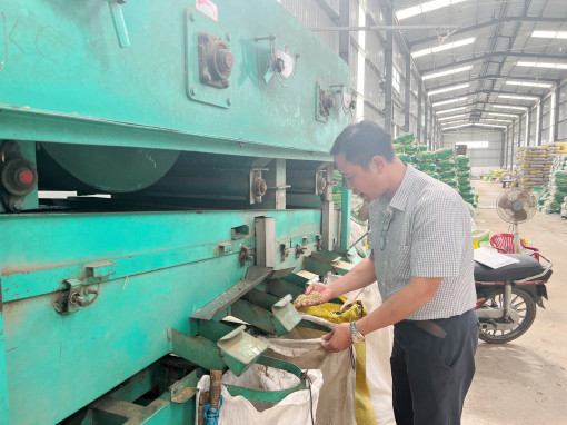 Hỗ trợ hợp tác xã nông nghiệp phát triển theo chuỗi giá trị