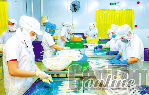 Hợp tác xã liên kết đưa nông sản an toàn tới tay người tiêu dùng