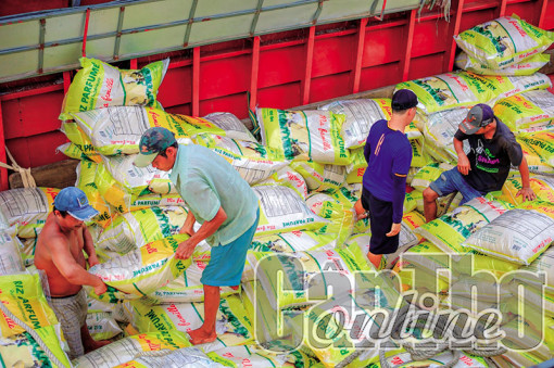 Ðảm bảo xuất khẩu và bình ổn thị trường gạo trong nước
