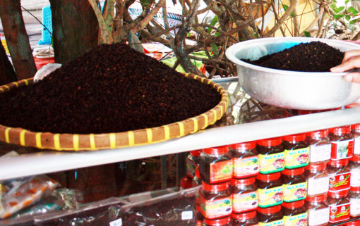 Phú Quốc phát triển sản phẩm OCOP