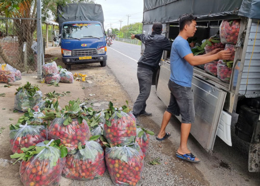 Chôm chôm tăng giá