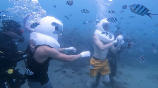 Giới thiệu Việt Nam tươi đẹp với thế giới