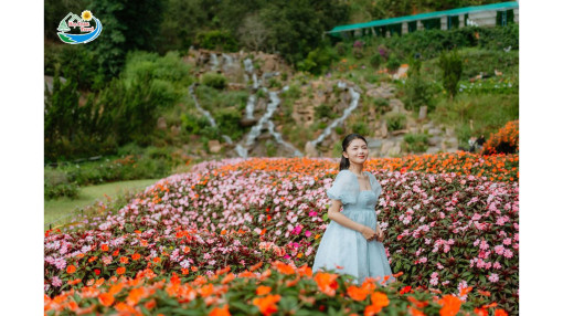 Vẻ đẹp tuyệt vời của Thung lũng Hồng - Địa điểm du lịch Đà Lạt không nên bỏ qua