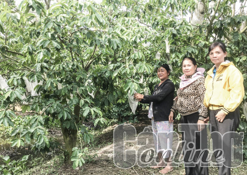 Tăng cường huy động, sử dụng vốn vay ưu đãi