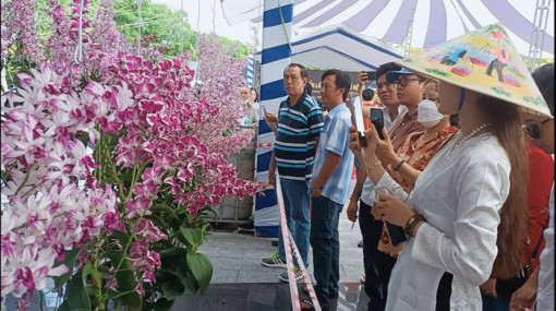 Phát triển nghề trồng hoa lan trong nông nghiệp đô thị gắn với du lịch