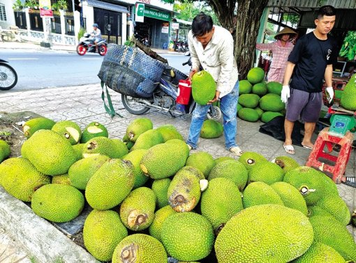 Mít Thái giảm giá mạnh, giá heo hơi giảm, đường cát tăng giá