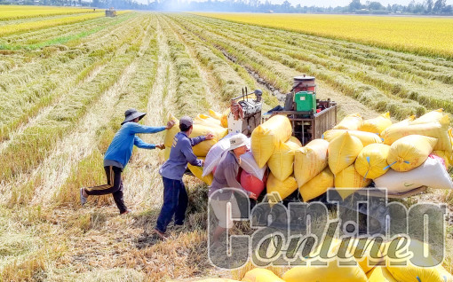 Nâng cao chất lượng, hiệu quả sản xuất nông nghiệp gắn với phát triển bền vững