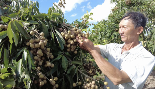 Gỡ khó, đẩy nhanh tiến độ thực hiện các chương trình mục tiêu quốc gia