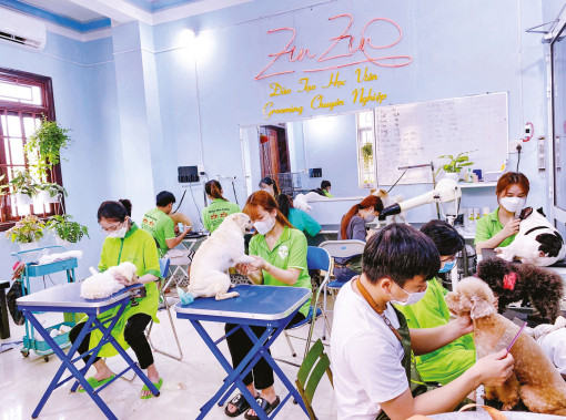 9X khởi nghiệp thành công từ thú cưng