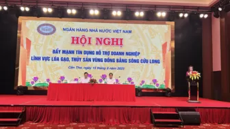 Đẩy mạnh tín dụng hỗ trợ doanh nghiệp lúa gạo, thủy sản vùng ĐBSCL