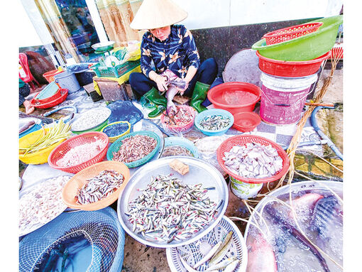 Giá nhiều loại cá ở mức cao